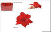 Poinsettia C/Pinzetta 20Cm Rosso Art 2019320