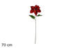 STELO FIORE STELLA ROSSOART.XY16-302/RED