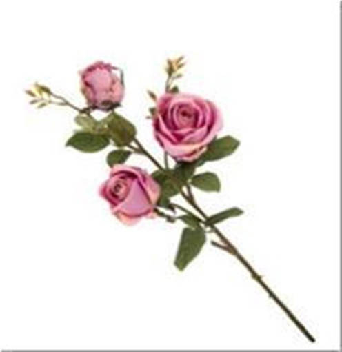 PICK ROSA QUEEN 4COL. ASS.