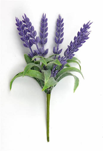 6 PZ BUSH LAVANDA