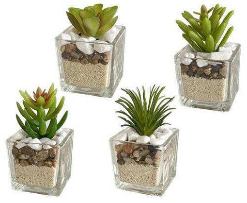 VASETTO SQUARE VETRO PIANTINA 5*5*9CM 4 ASS.
