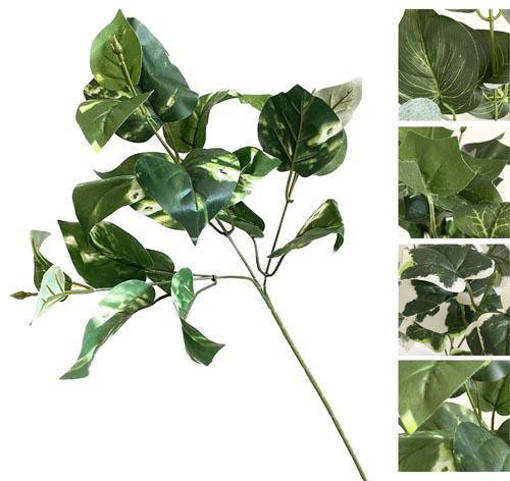 STELO GREEN LEAVES 58CM 4 ASS.