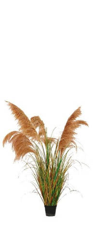 artificial 5 heads natural reed onion grass bonsai in plastic vase (diam. cm. 15 x h. cm. 13) diam. cm. 55 x h. cm. 150 with hangtag