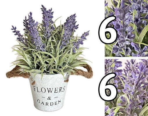 PIANTINA LAVANDA JUTA FLOWERS&GARDEN H.23,5CM 2 ASS.