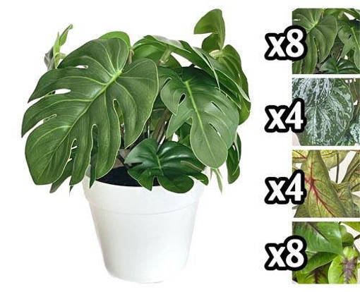 VASETTO MINI TROPICAL LEAVES 21CM 4 ASS.