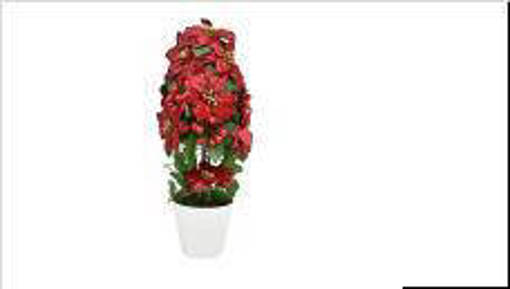 Nataluna Piantina Stella C/Bacche 45Cm M.481-45 Rosso