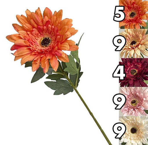 STELO GERBERA VERDANT 63CM 5 ASS.