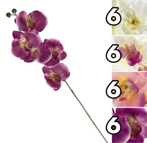 RAMO ORCHIDEA SINGLE 73CM 4ASS