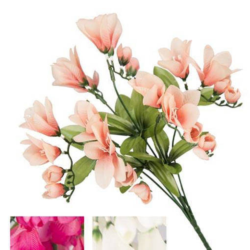 BUSH 6 ALSTROEMERIA EASY 25CM