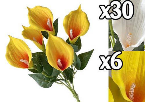 BUSH CALLE MINI 5 FIORI 36CM 2 ASS.
