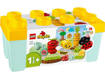 Lego Duplo My First 10984 Giardino biologico