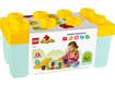 Lego Duplo My First 10984 Giardino biologico