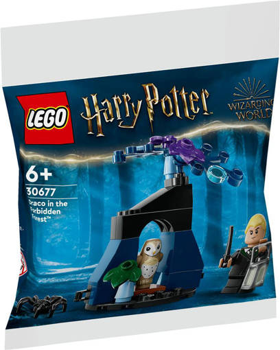Lego Recruitment Bags 30677 Draco nella Foresta Proibita