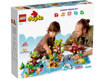 Lego Duplo Town 10975 Animali del mondo