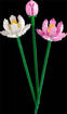 Lego Botanicals 40647 Fiori di loto