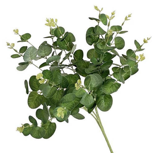 MAZZETTO VERDE EUCALIPTO 48CM
