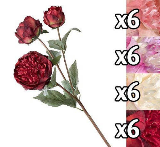 STELO PEONIA NATURE 4 FIORI 70CM 4 ASS.
