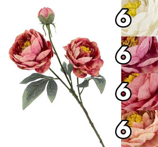 STELO 3 PEONIE HARMONY 79CM 4 ASS.