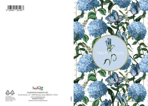 Marpimar - Tanti Auguri Ortensie Blu LOF42
