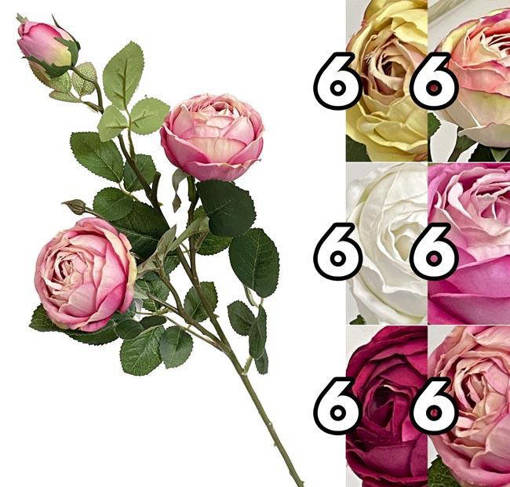 STELO PEONIA 3 FIORI ELEGANT 75CM 6 ASS.