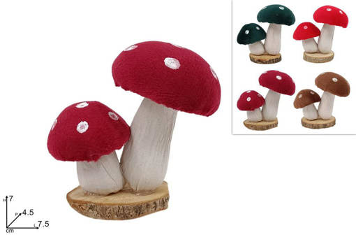 Funghi Su Tronco Legno Col Ass