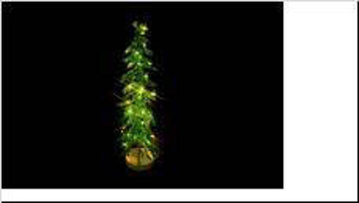Nataluna Albero Pe 11X11X50Cm 60Led C/Timer Batt.Verde