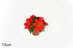 Piantina Stella Di Natale 5 Fioriart.Xy15-388