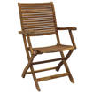 Sedia da Giardino Riviera Pieghevole con Braccioli Poltrona in Legno di Acacia Massiccio AC805074