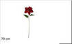 STELO FIORE STELLA ROSSOART.XY16-302/RED