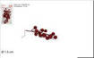 CHIUDIPACCO SPILLONE BACCHE SET 3PZ     ART.XY115-161098