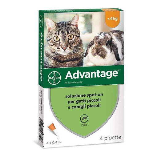 Advantage Spot-on per Gatti e Conigli Piccoli, 40 MG, 4 Pipette