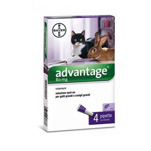 Advantage Soluzione Spot-On per Gatti e Conigli. 4 Pipette, 0.8 ml