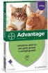 Advantage Soluzione Spot-On per Gatti e Conigli. 4 Pipette, 0.8 ml