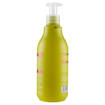 DIKSON CREMA BALSAMO PROTETTIVA PER CAPELLI COLORATI O MÈCHES CON ESTRATTO DI MORINGA E PROTEINE DEL GRANO - FILTRO UV 500