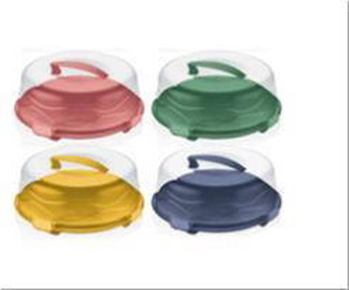 C&K Porta Torta Basso Newton Cm33,5Xh11,5 Ass 