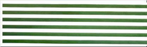 Cuscino Arredo 40X40 Col.Rigo Verde