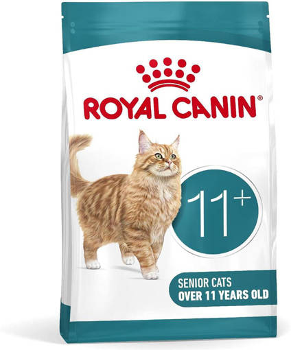 Ageing 11+ 400G