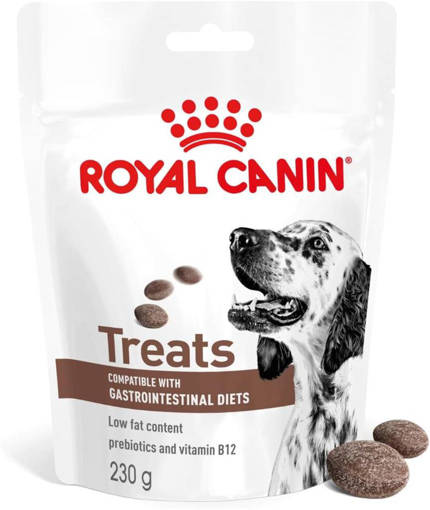 Royal Canin VHN C GASTROINTESTINAL TREAT