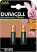 Duracell Ministilo Ricaricabile 750 mah, 2 pile