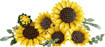 Lego Botanicals 11502 Bouquet di girasoli