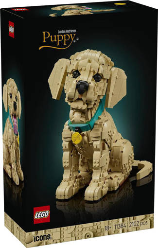 Lego Icons 11384 Cucciolo di Golden Retriever