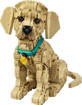 Lego Icons 11384 Cucciolo di Golden Retriever