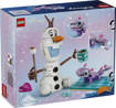 Lego Disney Princess 43287 Il divertente picnic di Olaf e Bruni
