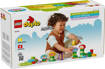Lego DUPLO Town 10444 Giardino e fiori creativi