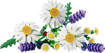 Lego Botanicals 11508 Margherite