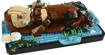 Lego Ideas 21366 Lontre marine