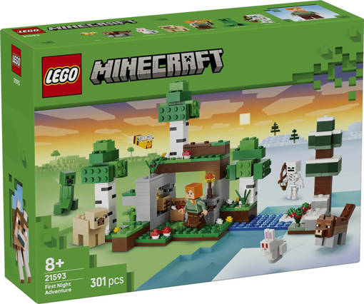 Lego Minecraft 21593 Avventura della prima notte