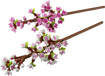 Lego Botanicals 40725 Fiori di ciliegio