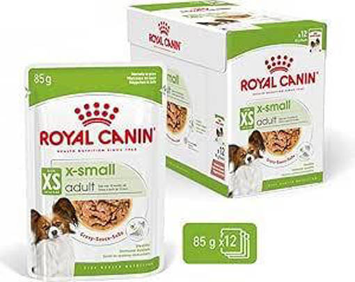 ROYAL C. 85G X SMALL ADULT ROYAL 