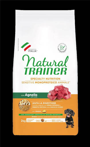 Natural Trainer No Gluten Mini Agnello 2Kg